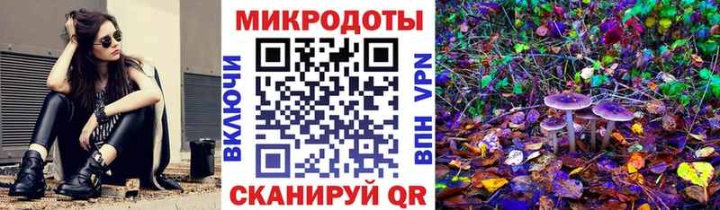 купить   Высоковск  Псилоцибиновые грибы мухоморы 